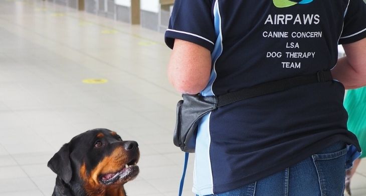 London Southend welcomes return of canine companions back to the terminal