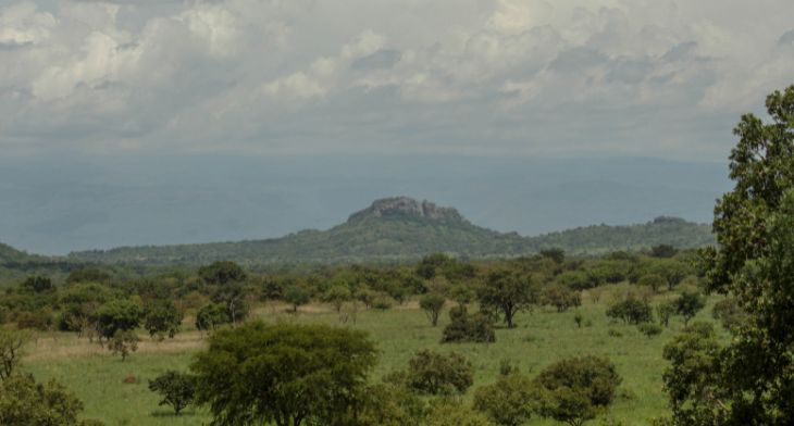 Airfields in some of Uganda’s iconic national parks to be upgraded to handle international visitors
