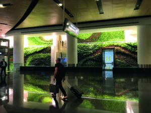 Living wall in airport terminal design